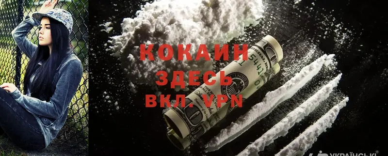 продажа наркотиков  Корсаков  Cocaine Эквадор 